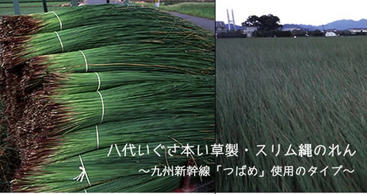 八代いぐさ本い草製・スリム縄のれん